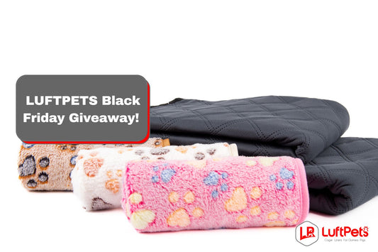 LUFTPETS Black Friday Giveaway