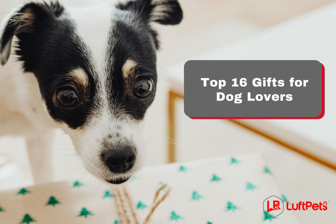 Top 16 Gifts for Dog Lovers - Thoughtful Items to Make Their Pets' Tails Wag!