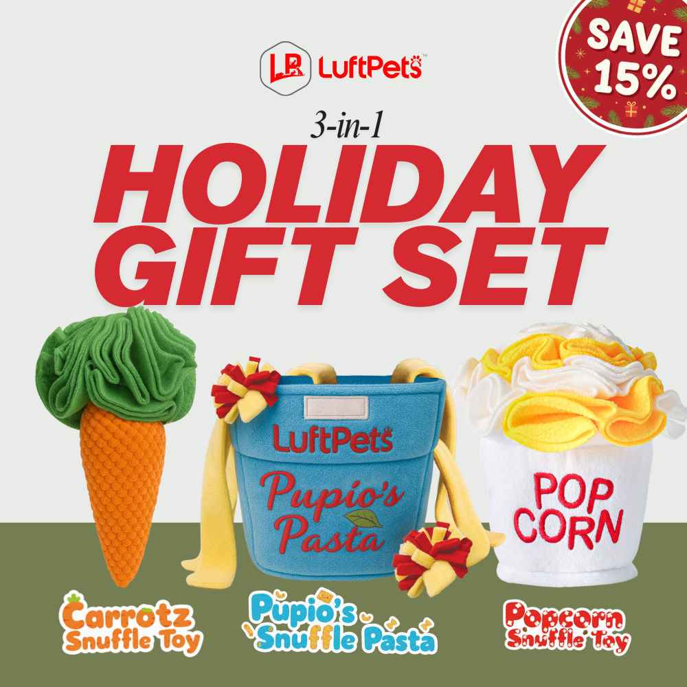 Snuffle Toy Holiday Gift Set– Carrot, Popcorn & Pasta -for Dogs, Cats, Rabbits & Small Animals