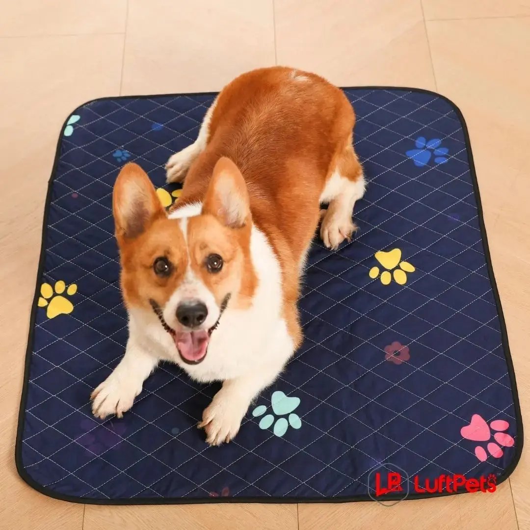 Washable dog pee pads