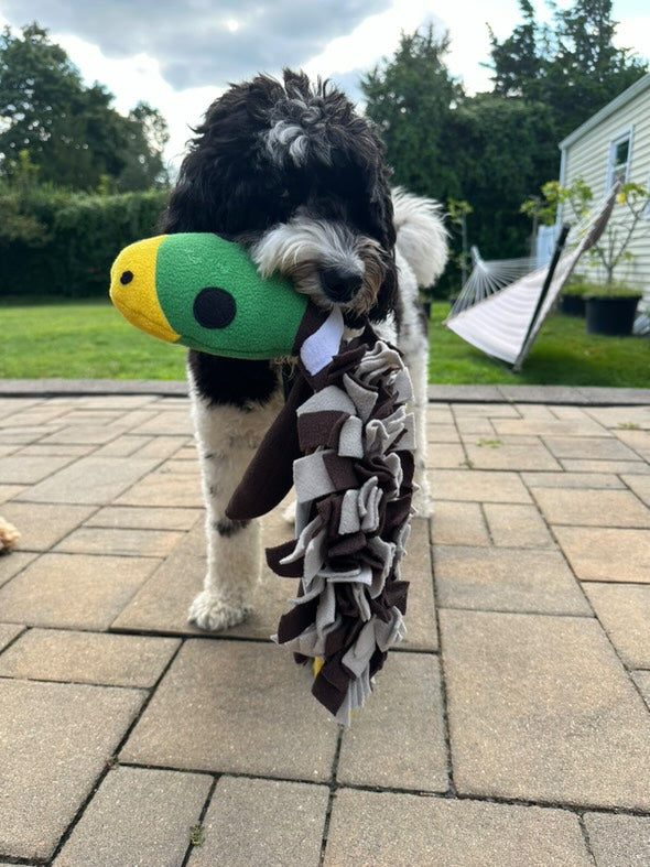Squeaky Duck Snuffle Mat for Dogs – 2-in-1 Toy & Foraging Fun