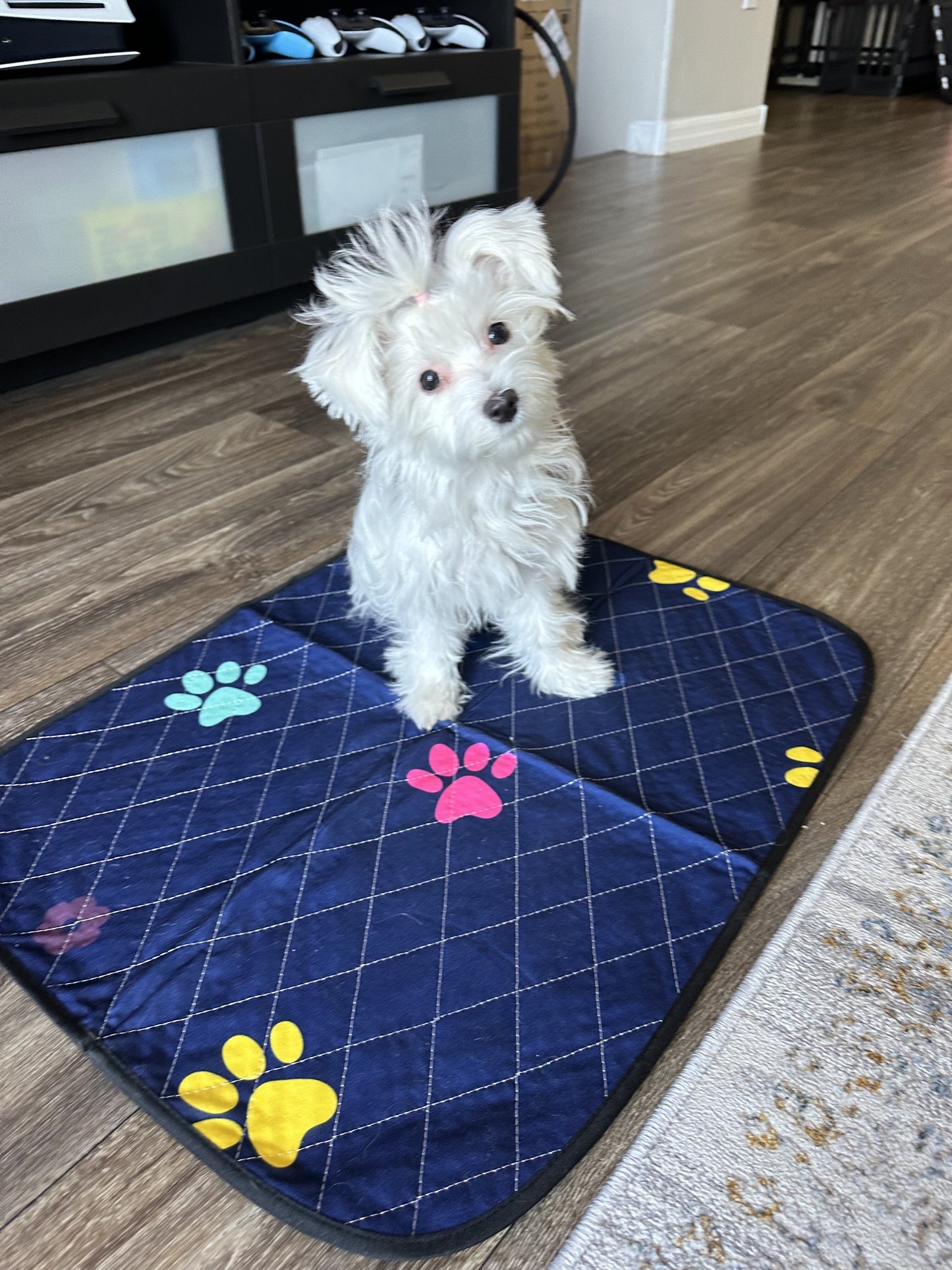 Washable Dog Pee Pads - Super Absorbent, Leakproof, Quick-Drying, Reusable Puppy Pads