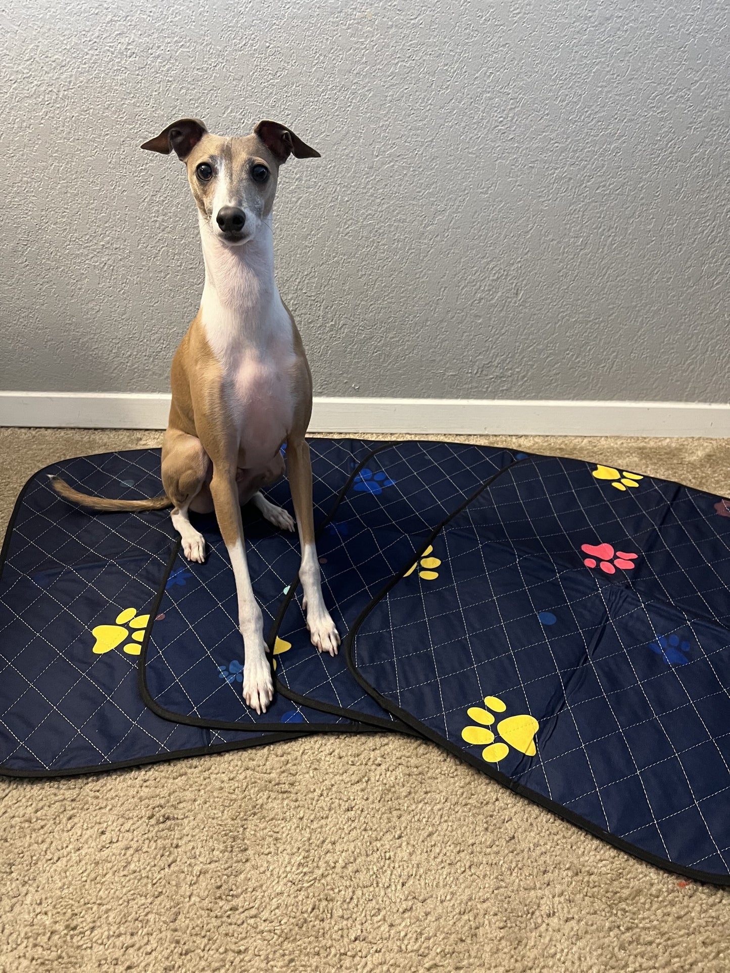 Washable Dog Pee Pads - Super Absorbent, Leakproof, Quick-Drying, Reusable Puppy Pads