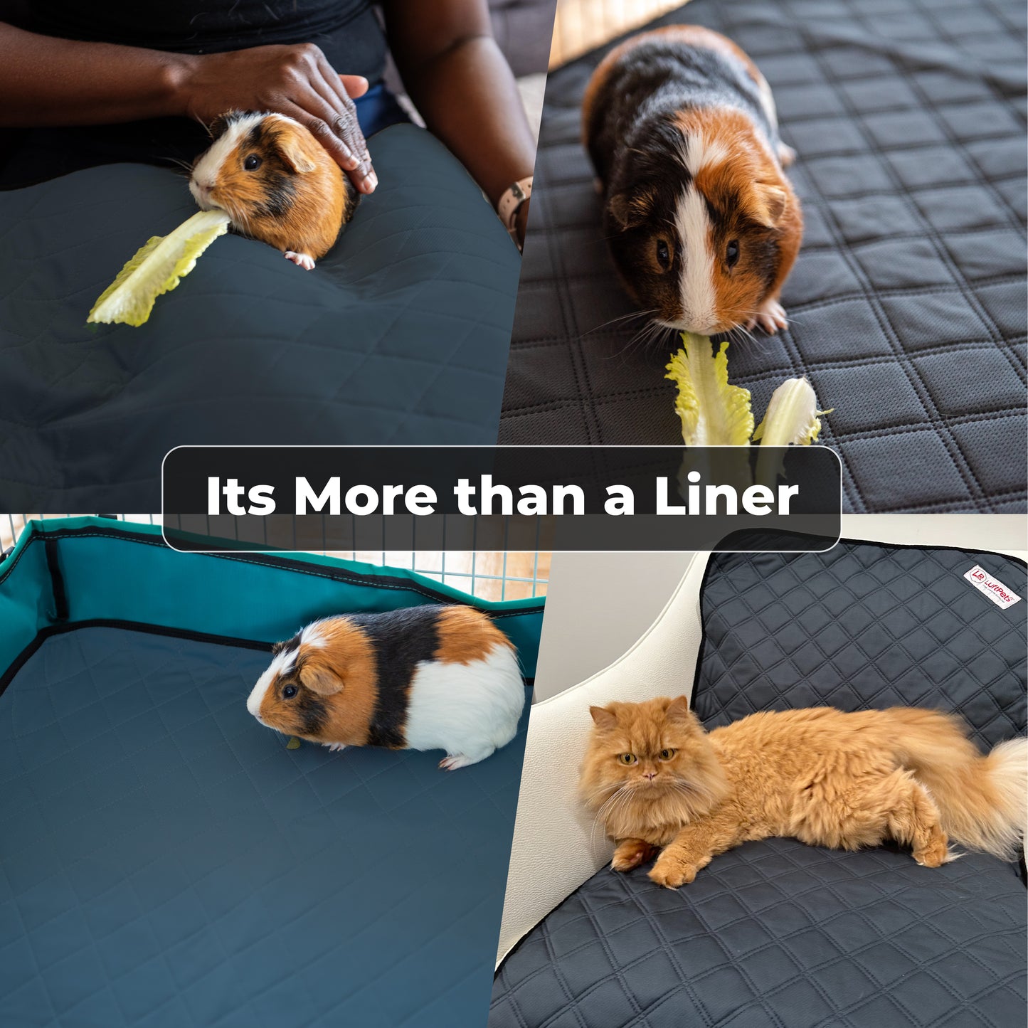 Rabbit & Guinea Pig Cage Liners for MidWest Cages - Washable & Absorbent