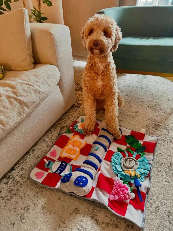 Squeaky Bone Snuffle Mat for Dogs – Interactive Foraging Fun, 24"- RETAIL LUFTPETS