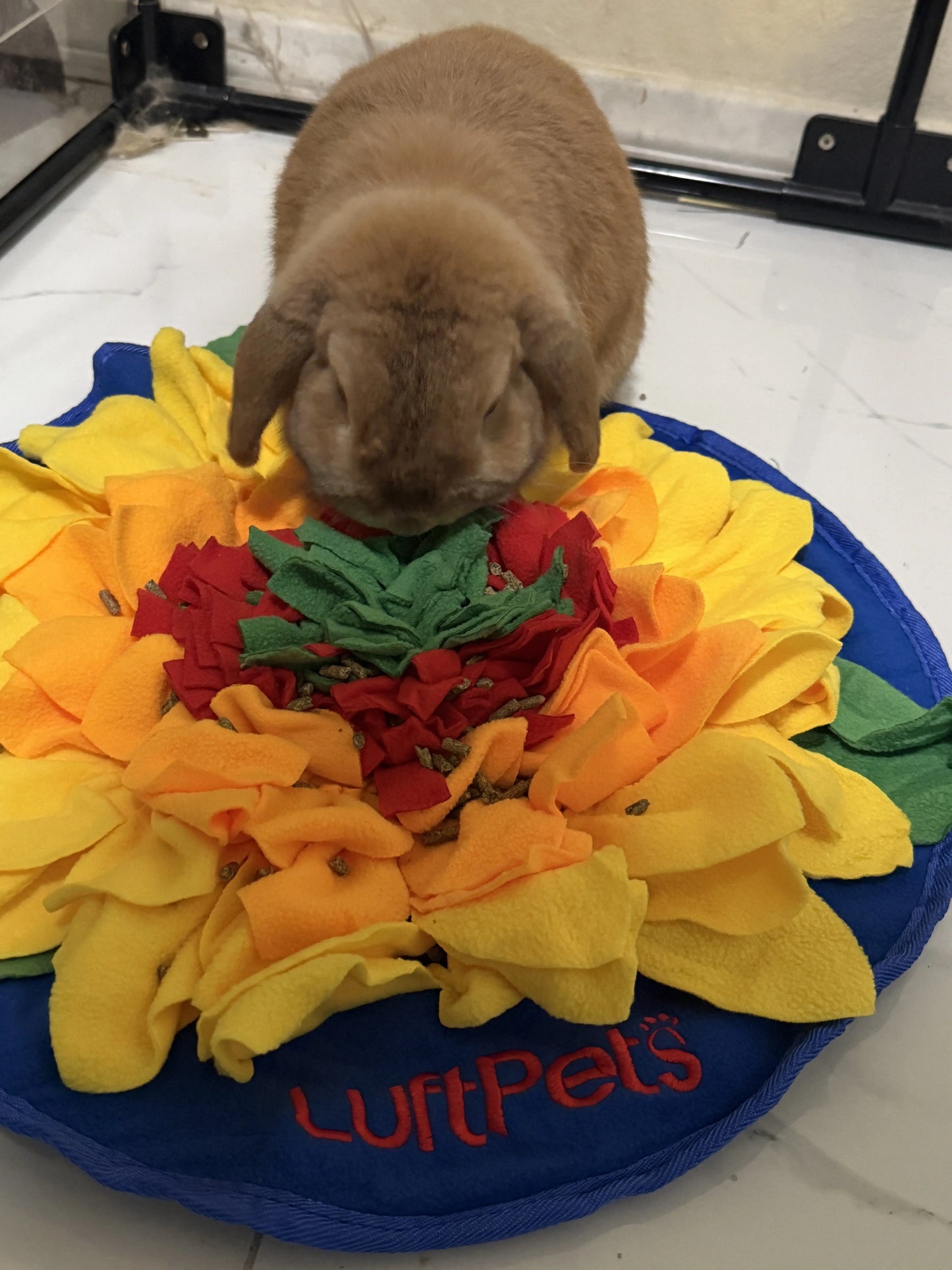 Snuffle Carrotz—Squeaky Sniff Toy for Dogs, Cats, Rabbits, and Small Pets LUFTPETS