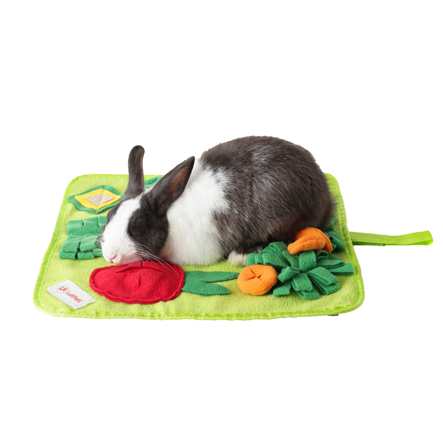 Rabbit Foraging Mat: Interactive Veggie Patch & Snuffle Mat for Bunnies & Guinea Pigs