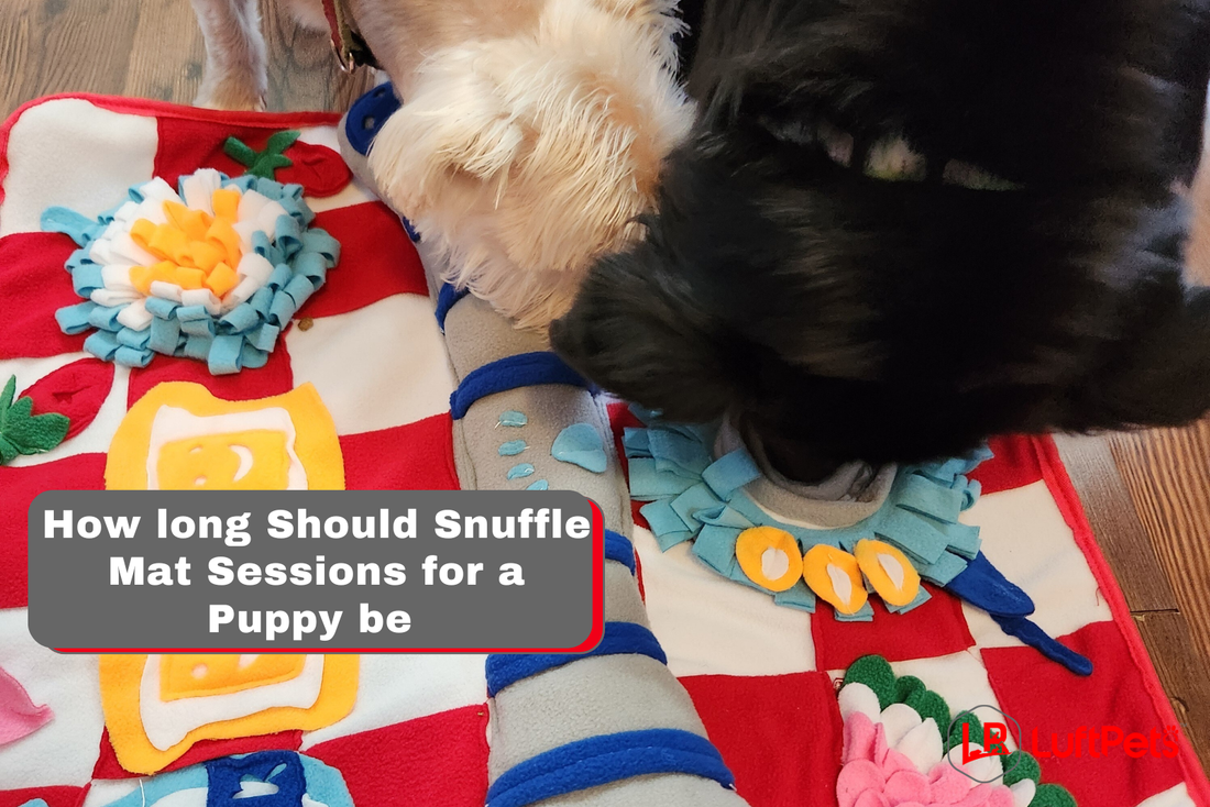 TWO PUPPIES SNIFFING TREATS FROM LUFTPETS SNUFFLE MAT
