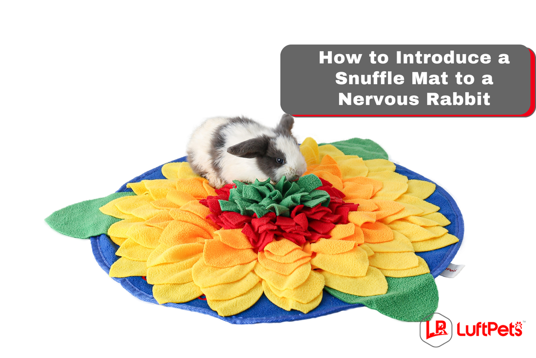 a rabbit on sunflower snuffle mat from luftpets