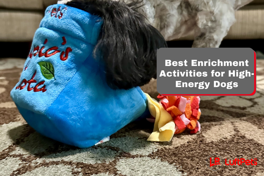 dog sniffing enriching activities pupio pasta