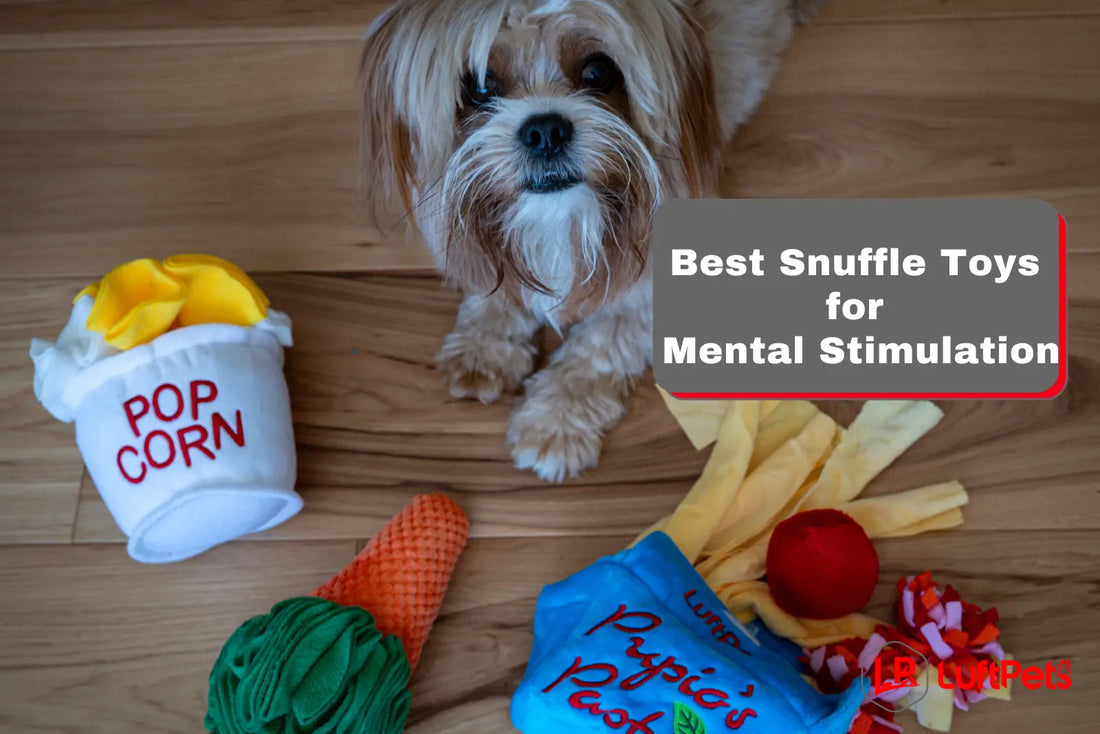 shitzu playing with snuffle toys for mental stimulation