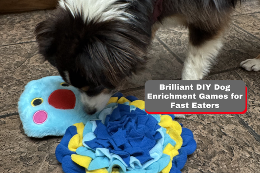 How Food Puzzles Improve Canine Problem Solving