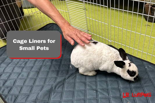 rabbit inside a cage with a LuftPets cage liner