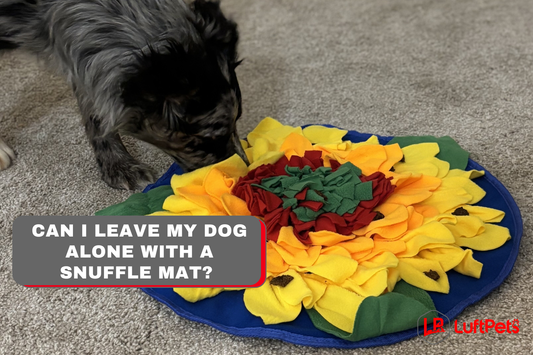 can i leave my dog alone with a snuffle mat