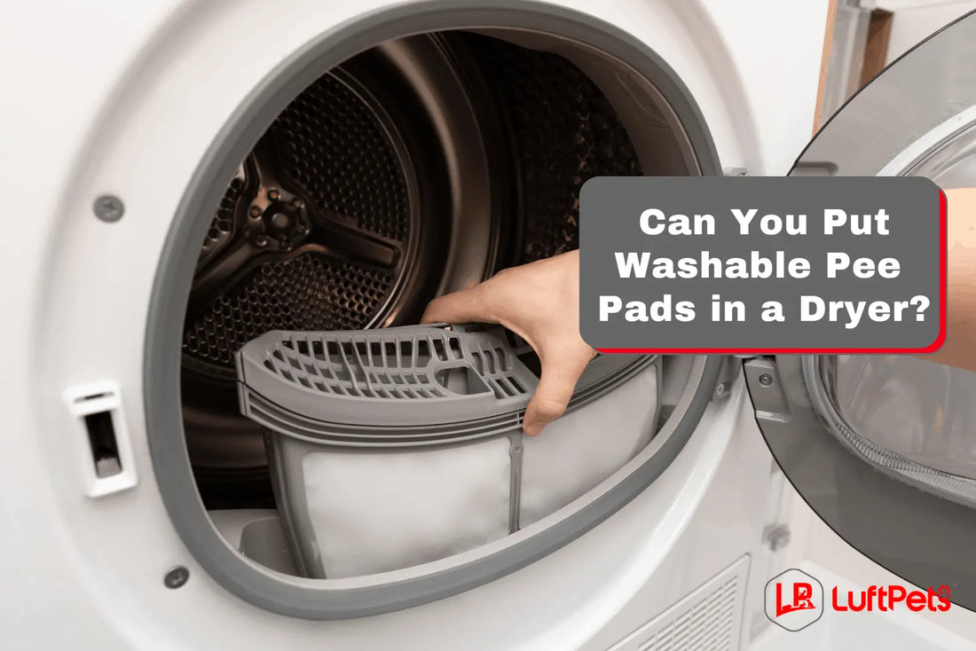 a hand adding item in a dryer with the question can you put washable pee pads in a dryer