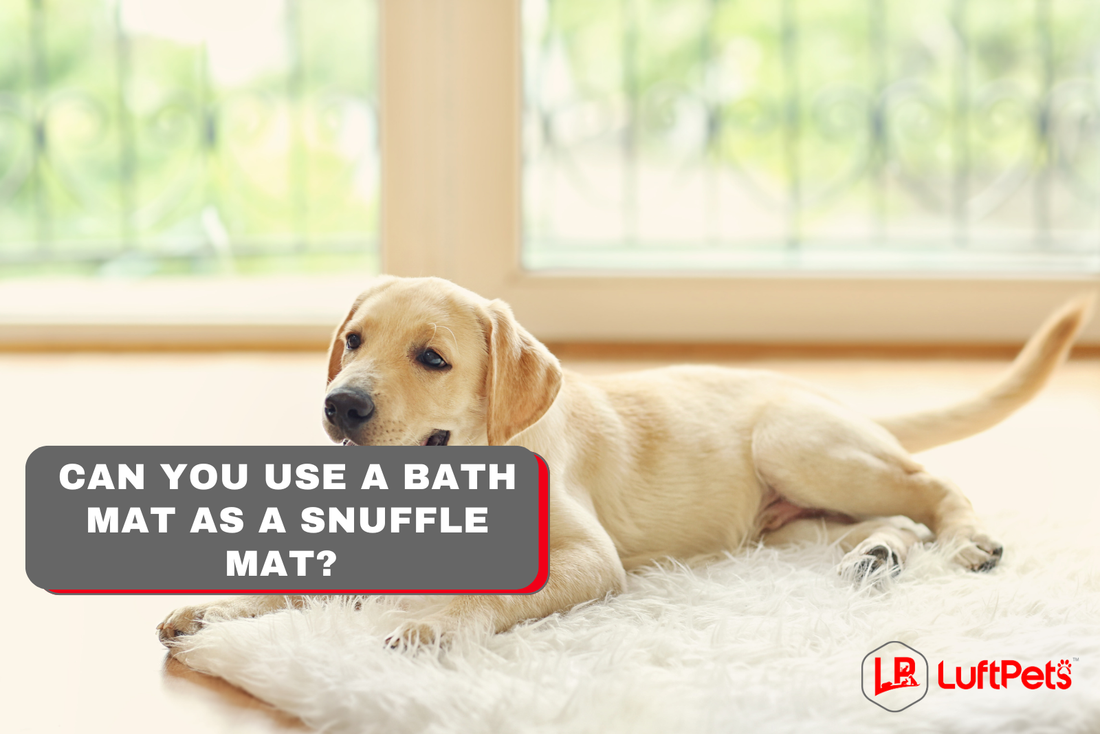 dog sitting on a bath mat
