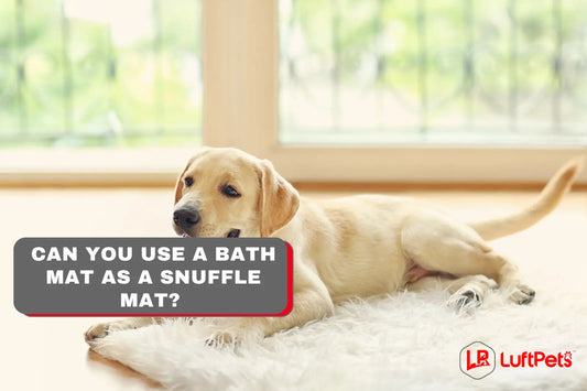 dog sitting on a bath mat