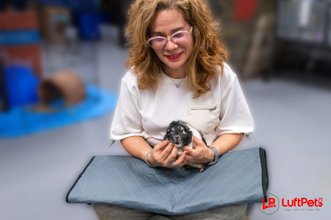 How to Hold Your Guinea Pig (Without Getting Peed On!)"