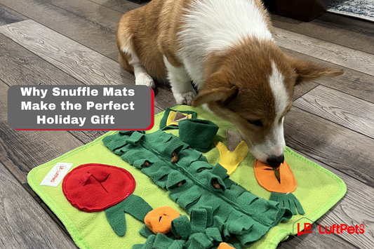 Why Snuffle Mats Make the Perfect Holiday Gift Idea | LUFTPETS Secrets!