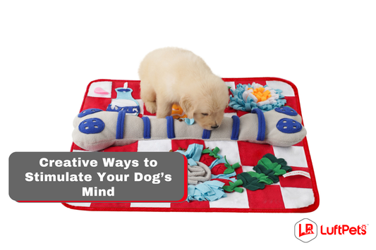 a puppy using luftpets snuffle mat for enrichment 