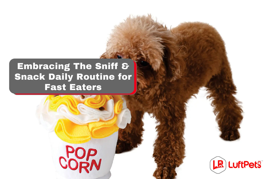 dog playing with popcorn snuffle toy