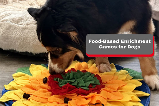 Food-Based Enrichment Games for Dogs – Smart Ways to Stimulate Your Dog
