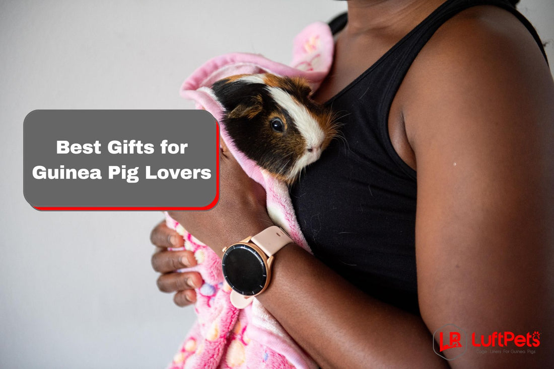 woman holding a guinea pig wrapped with fleece blanket (best gift for guinea pig lovers)