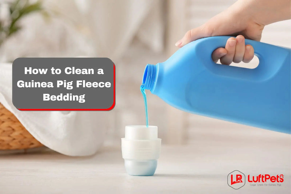 woman showing How to Clean Guinea Pig Fleece Bedding