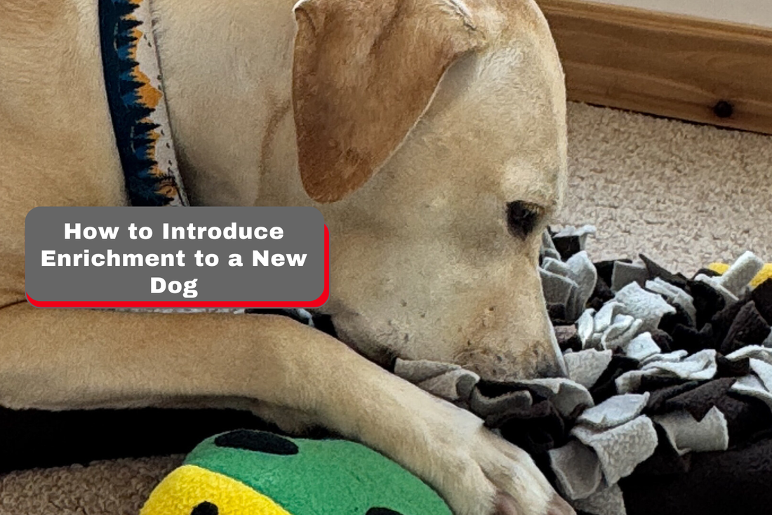 a labrador playing with the Luftpets duck snuffle mat