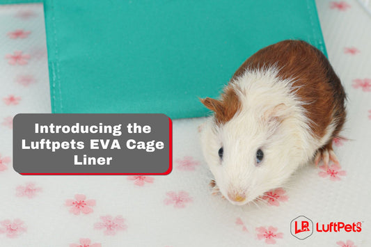 LUFTPETS EVA Cage Liner: Cleanliness Just a Wipe Away!