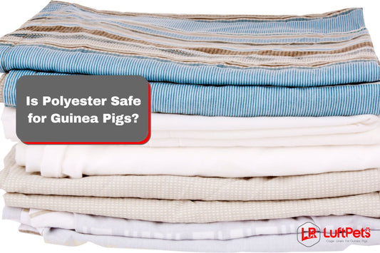 polyester bedding for guinea pigs