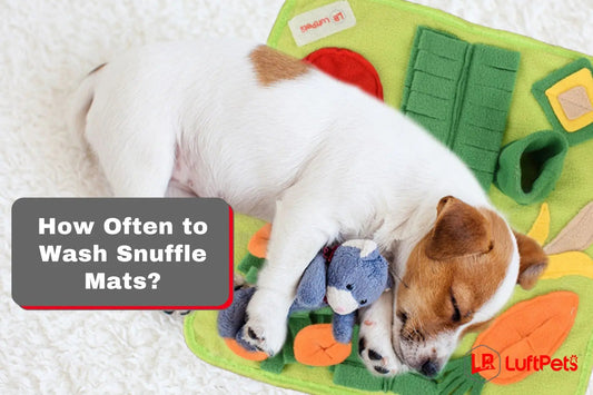How Often to Wash Snuffle Mats? Best-Kept Tips! - LUFTPETS