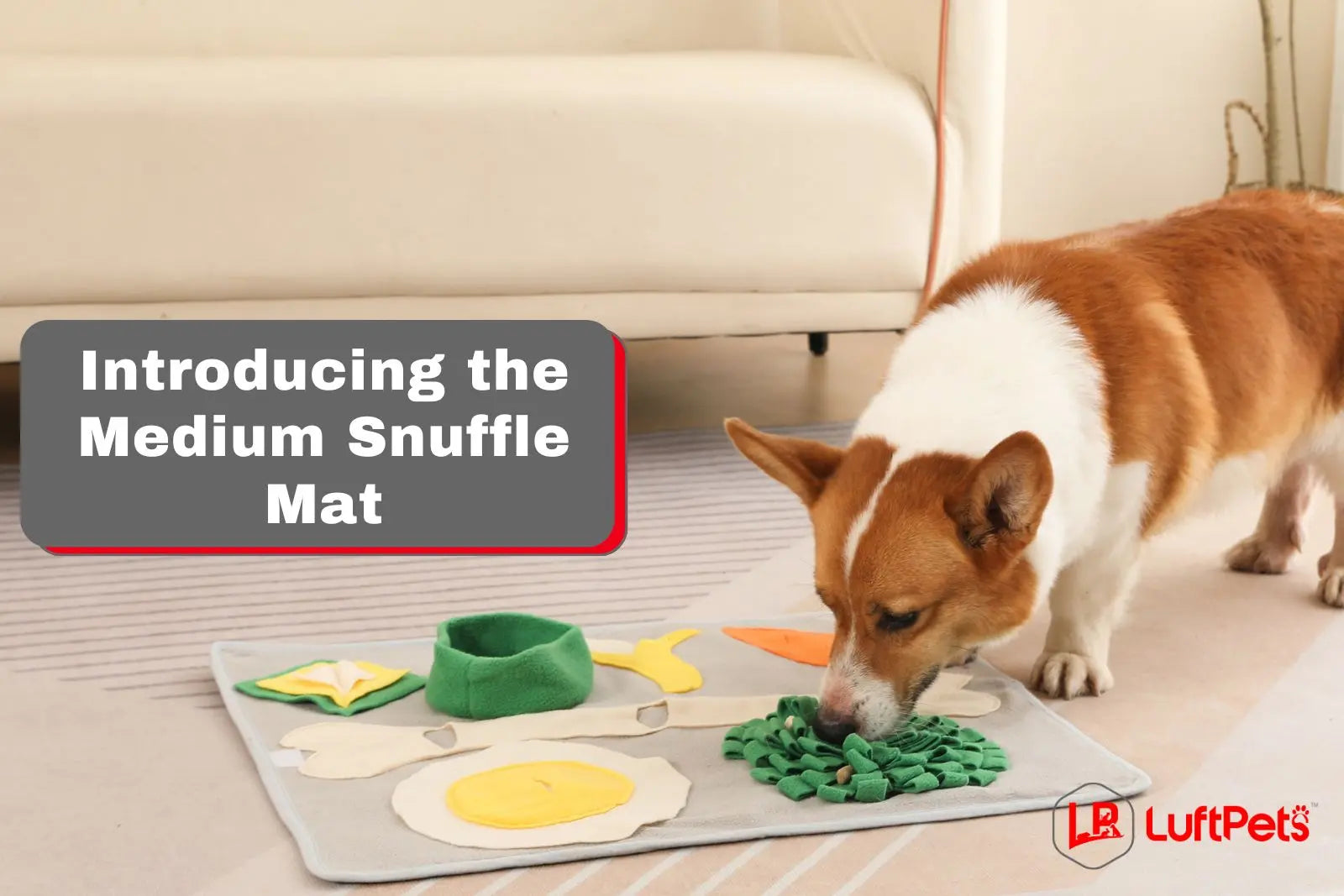 NEW PRODUCT ALERT: The Medium Snuffle Mat – LUFTPETS