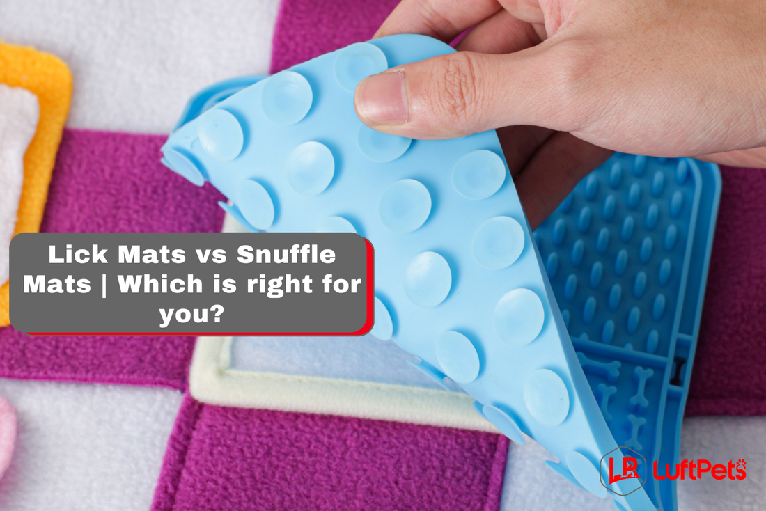 snuffle mat with lick mat