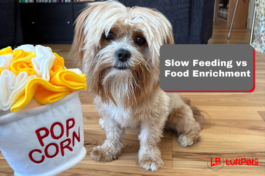 puppy and popcorn snuffle toy 