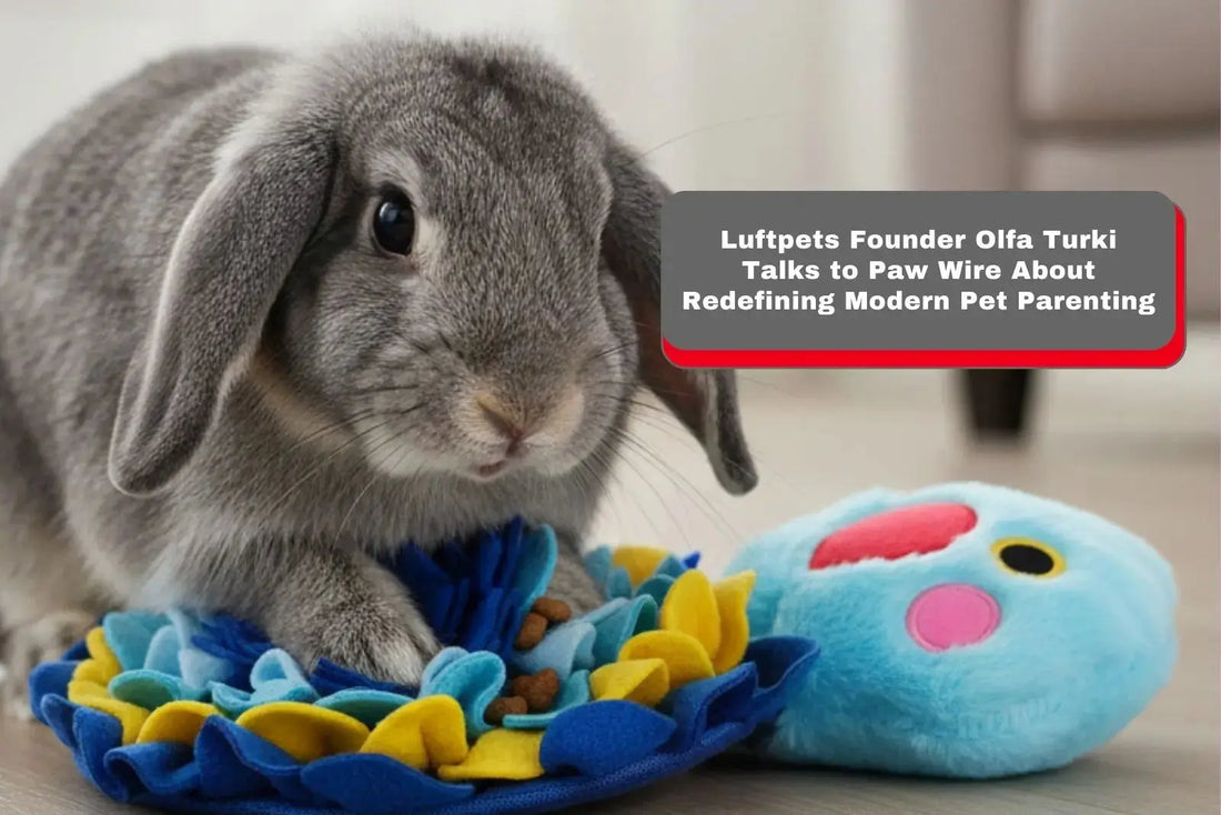 Luftpets Founder Olfa Turki Talks to Paw Wire About Redefining Modern Pet Parenting LUFTPETS