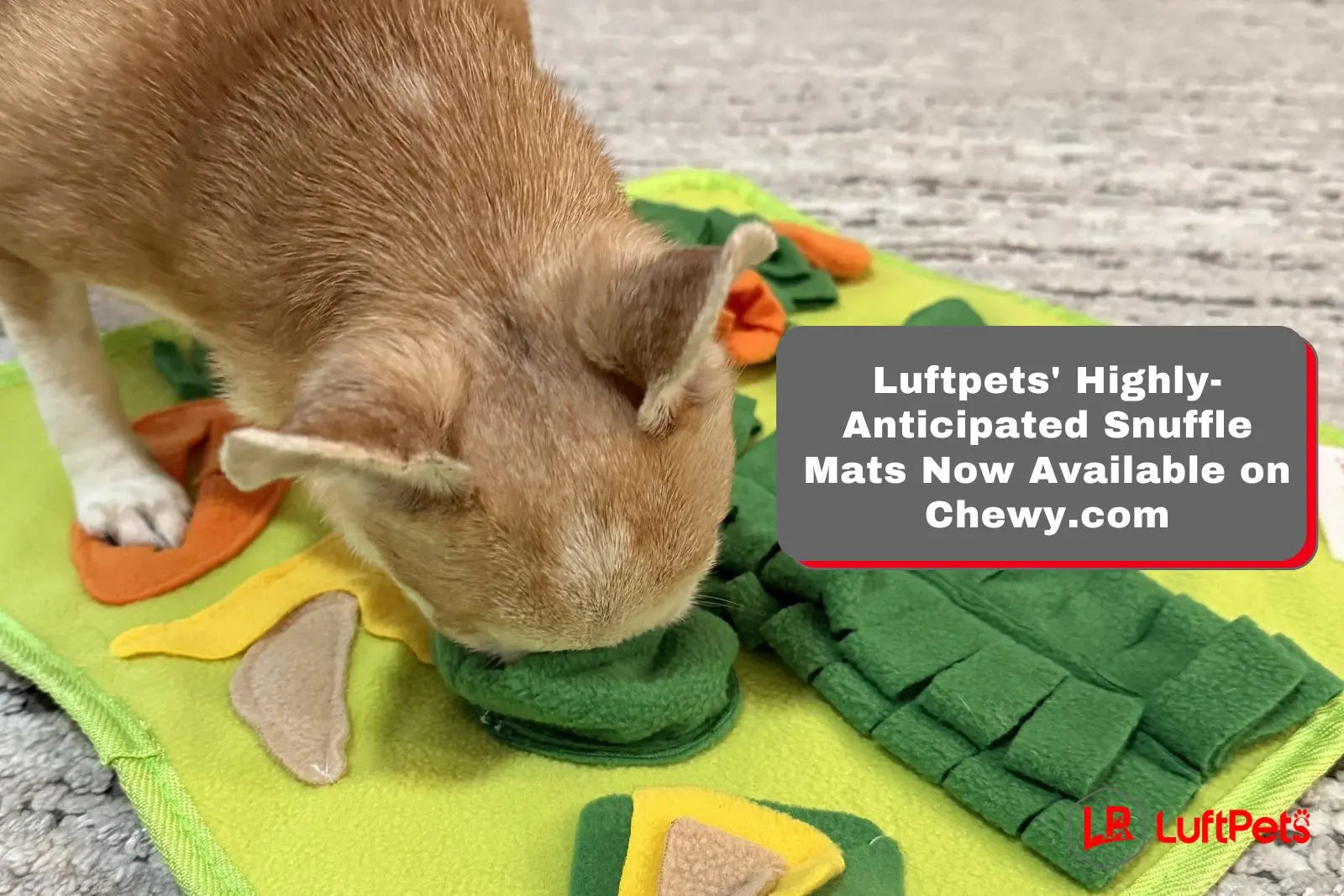 Luftpets' Highly-Anticipated Snuffle Mats Now Available on Chewy.com ...