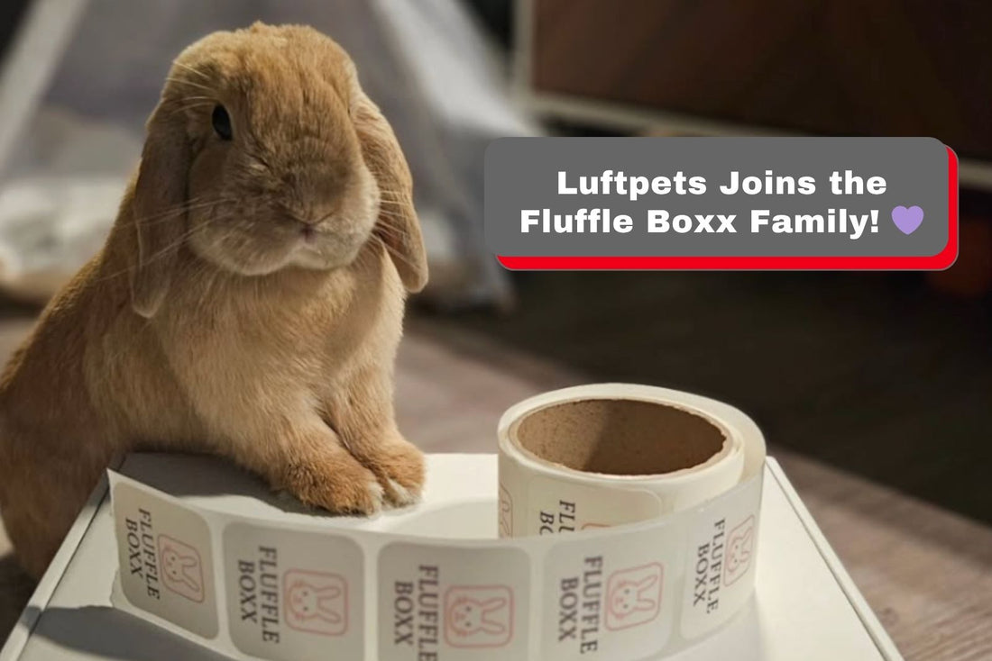 Luftpets Joins the Fluffle Boxx Family!