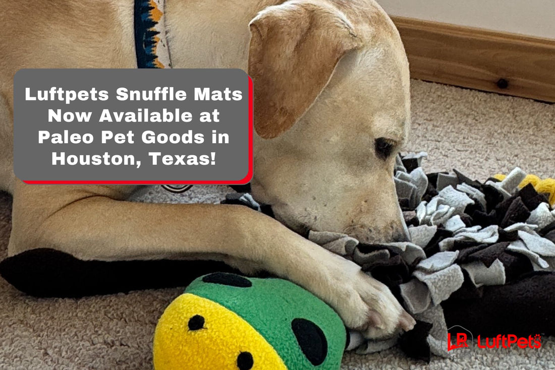 Luftpets Snuffle Mats Now Available at Paleo Pet Goods!