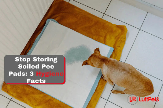 Why You Should NEVER Store Soiled Pee Pads LUFTPETS