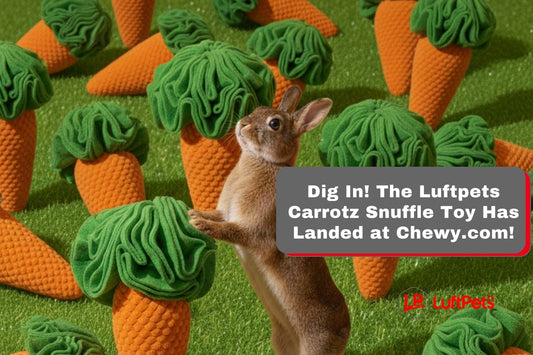 Dig In! The Luftpets Carrotz Snuffle Toy Has Landed at Chewy.com!