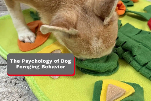 The Psychology of Dog Foraging Behavior: A Vet and Pet Parent's Guide to Slowing Down Fast Eaters LUFTPETS