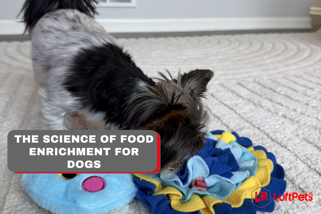 DOG eating from a snuffle mat food enrichment science