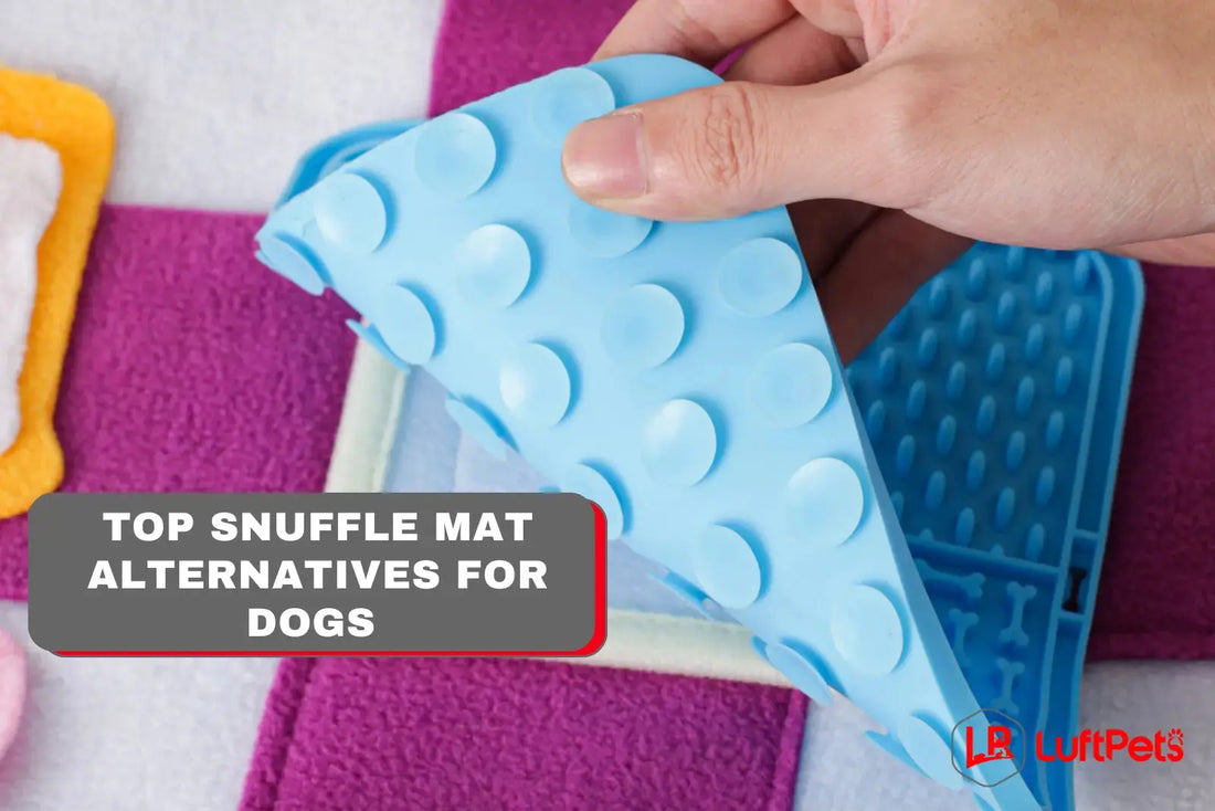 Top Snuffle Mat Alternatives for Dogs – Easy Mental Stimulation LUFTPETS