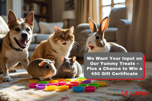 Calling All Pet Parents! We Want Your Input on Our Yummy Treats – Plus a Chance to Win a $50 Gift Certificate!