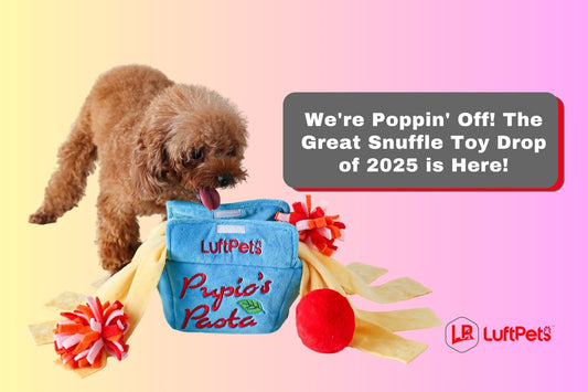 We're Poppin' Off! The Great Snuffle Toy Drop of 2025 is Here!