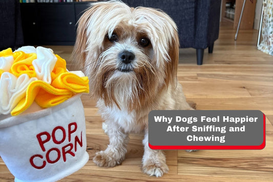 Why Dogs Feel Happier After Sniffing and Chewing