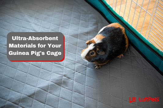 cozy guinea pig on a cage with the LUFTPETS PREMIUM CAGE LINER