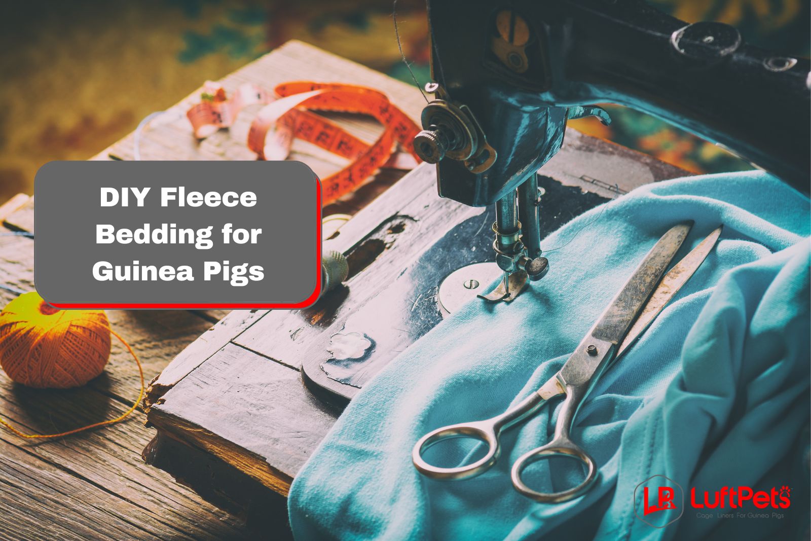 DIY Fleece Bedding For Guinea Pigs | 6 Quick & Easy Steps – LUFTPETS