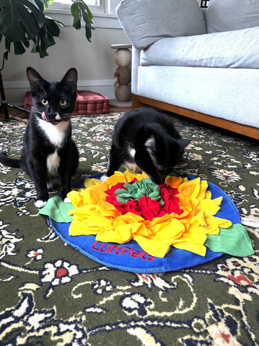 cats using luftpets snuffle mat